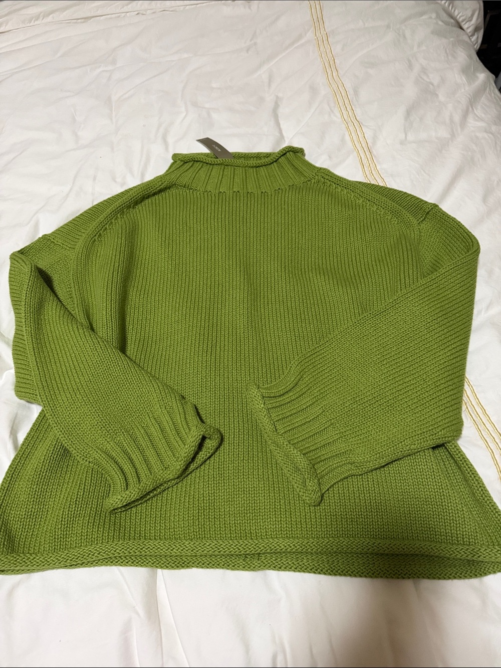 NWT, Jcrew “Matcha Green” 2025 Rollneck Sweater